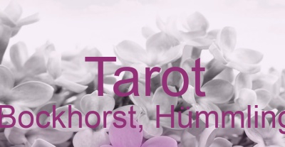 Tarot Bockhorst, Hümmling | Top-Experten für Kartenlegen, Wahrsagen, Hellsehen, Zukunftsdeutung.